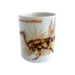 Compsognathus bögre