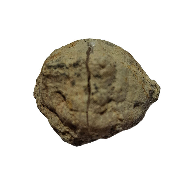 Kvarc geoda kisebb 01 - Image 2