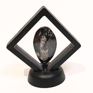 Lebegő Orthoceras 02