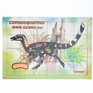 Compsognathus kirakó